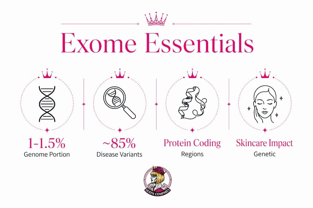 Exomes Explained: What Beauty Lovers Need to Know